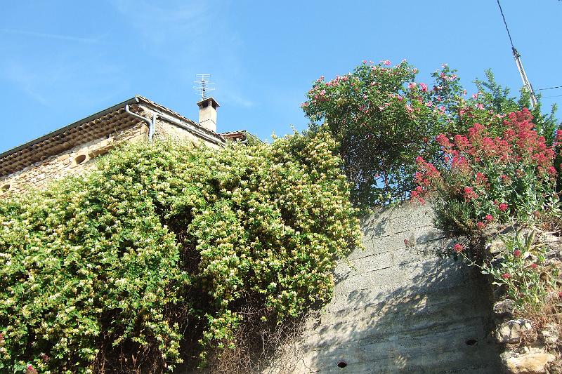 2011-05- (1353).JPG